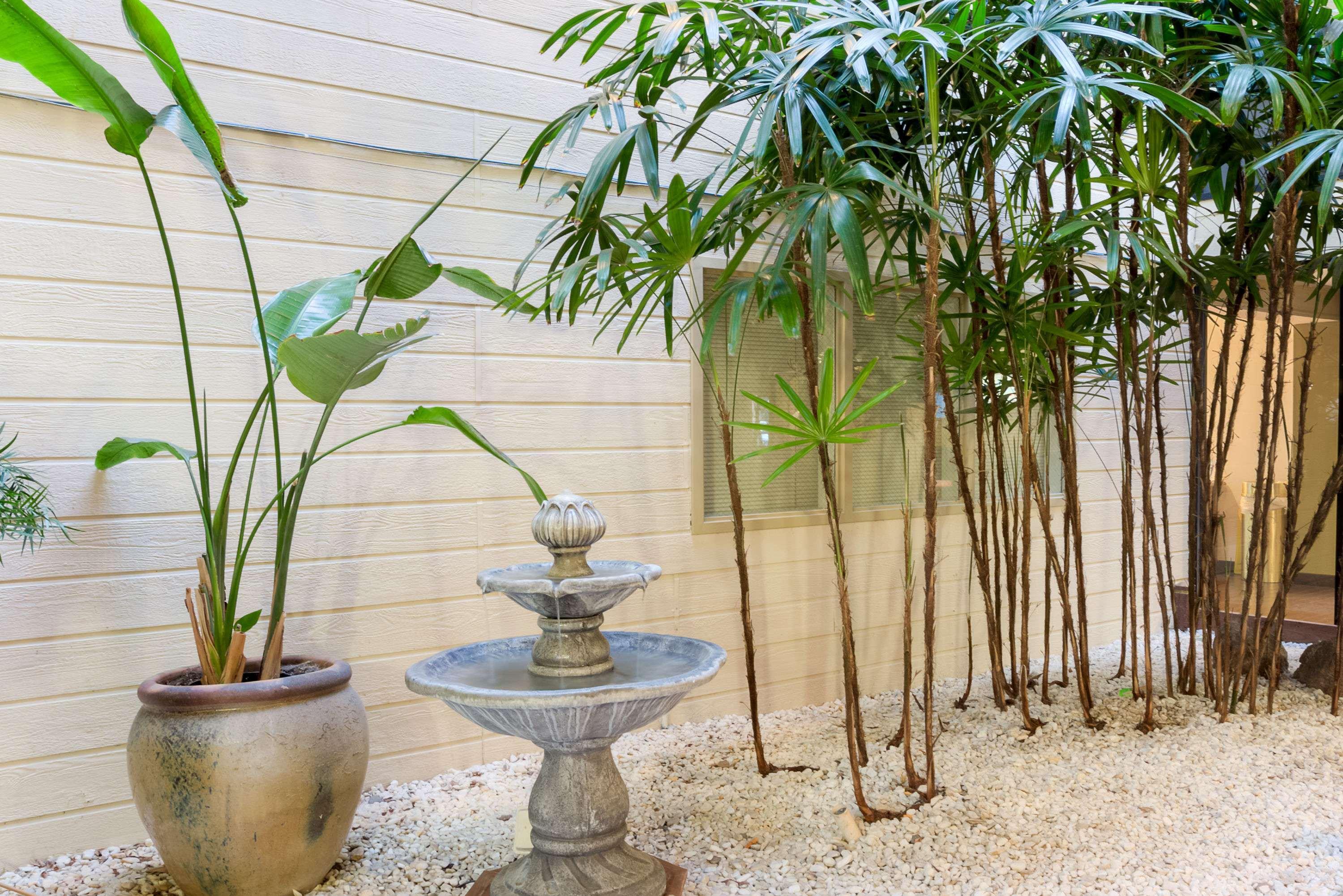 Hawthorn Suites Sacramento Ngoại thất bức ảnh